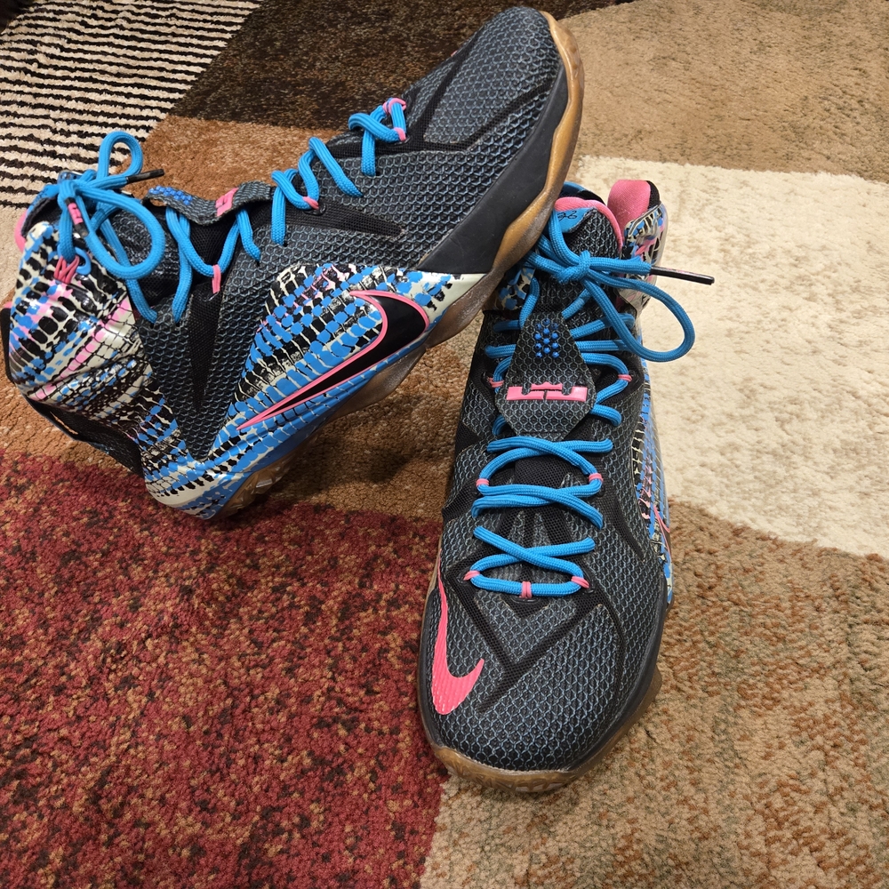 Nike LeBron Athletic Shoes - Multicolor, With Matching Shirt